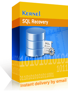 تعمیر دیتابیس و پایگاه داده SQL