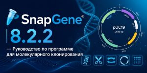 SnapGene 8.2.2 — Руководство по программе для молекулярного клонирования
